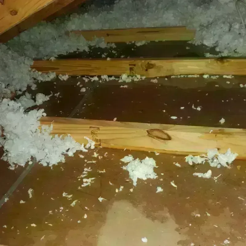 Attic Water Damage in Minot Air Force Base, ND