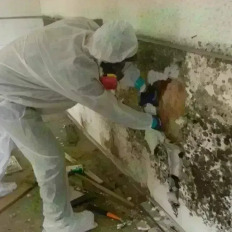 Mold Remediation and Removal in Minot Air Force Base, ND